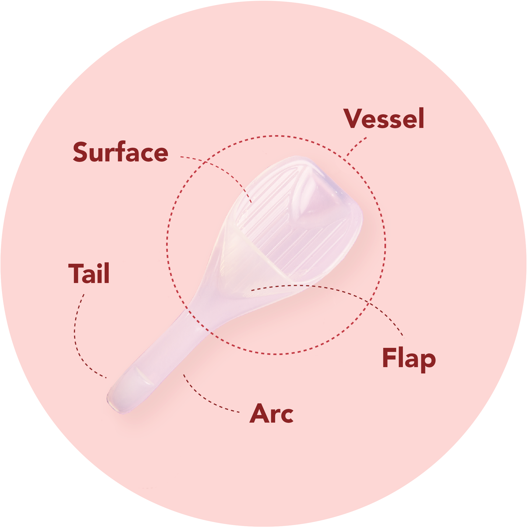 anatomy of Sperm Guide at-home conception kit with specific feature callouts