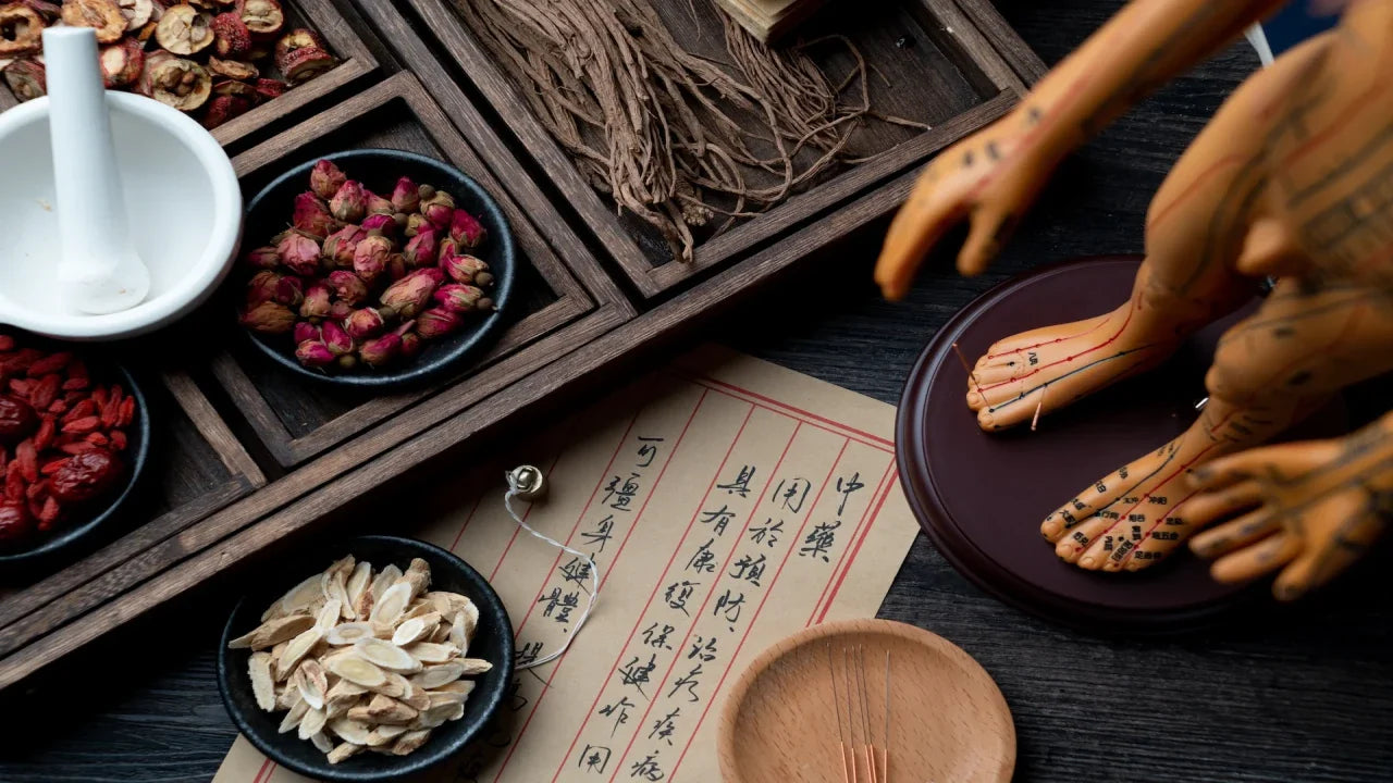 7 Best TCM Fertility Clinics in Singapore + Doctor Recommendations