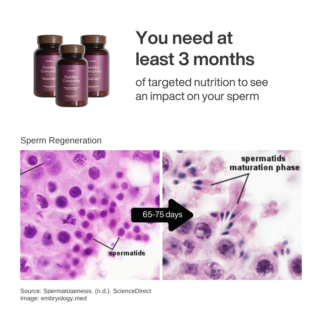 Research shows, consuming 'Fertility Complete for Him' for 90 days provides you targeted nutrition to see an impact on your sperm quality and regeneration.