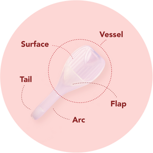 anatomy of Sperm Guide at-home conception kit with specific feature callouts